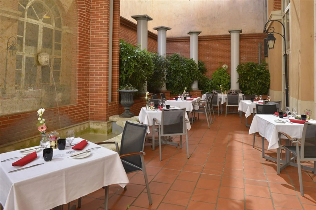 Plaza Hotel Capitole Toulouse - Général