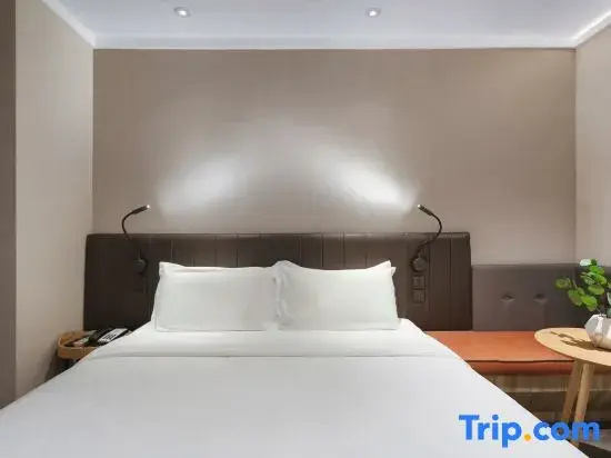 Hanting Premium Hotel Nanjing Xuanwumen - Chambres