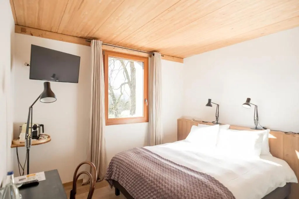 Standard Double room with garden view (full double bed)