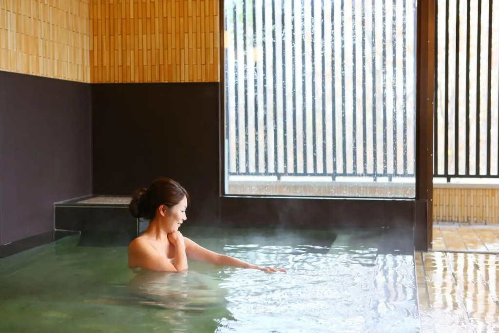 Nasu Ichiya Hotel - Général