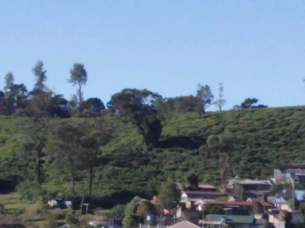 Frosty Heaven Guest House