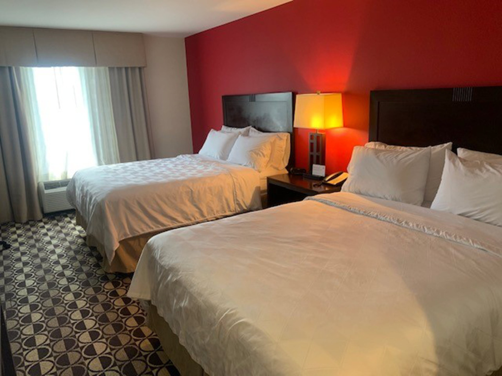 Holiday Inn St. Louis Fairview Heights by IHG - Général