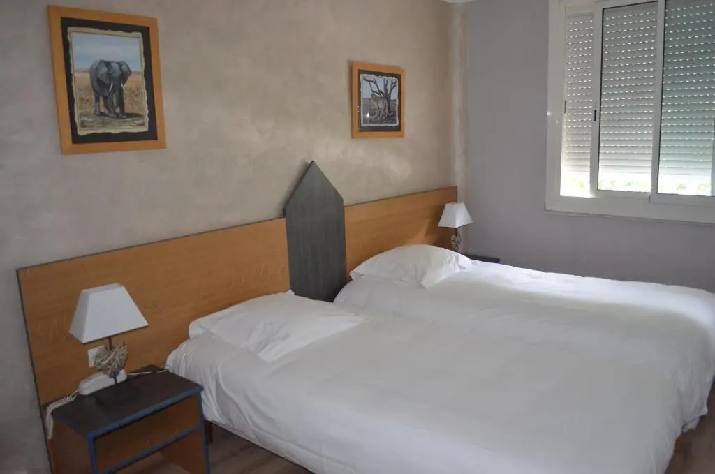 Standard Double room (twin beds)