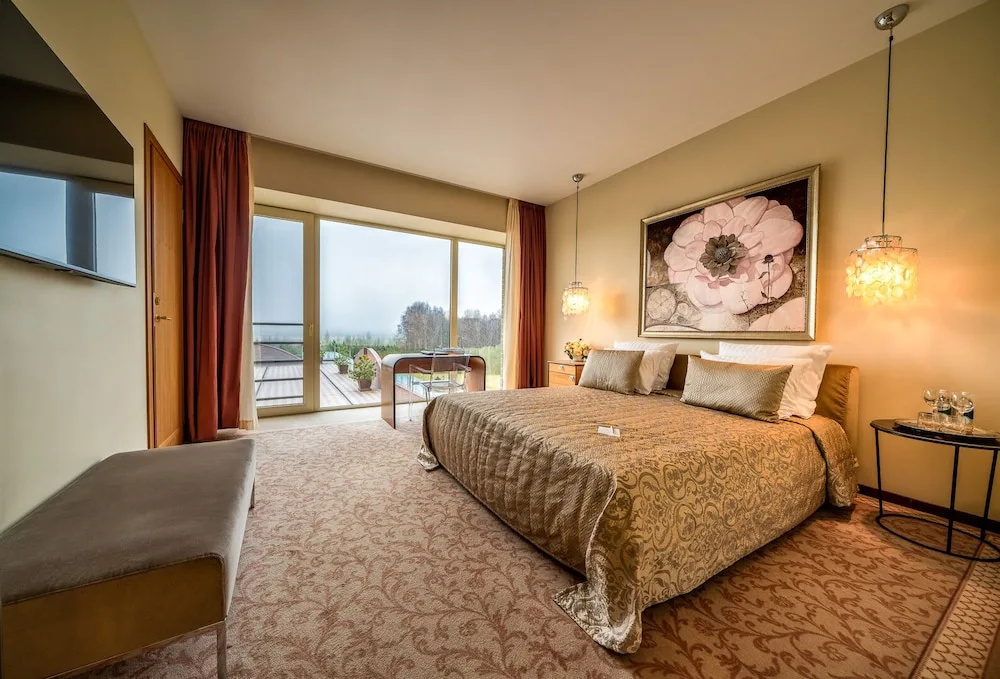 Standard Double room with park view (full double bed)