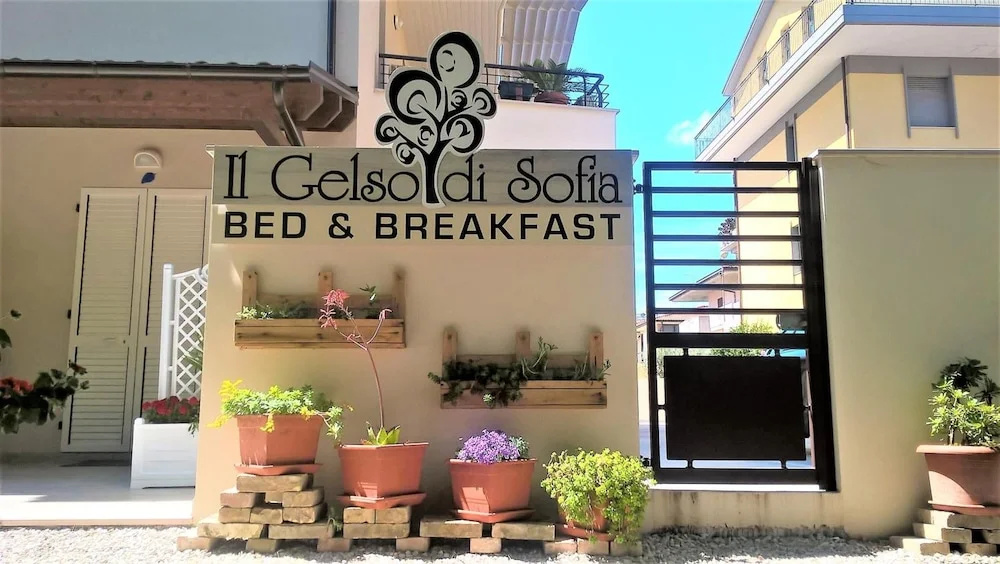Il Gelso di Sofia
