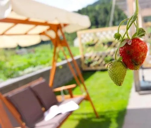 ECO Boutique Hotel AMS Beagle - Général