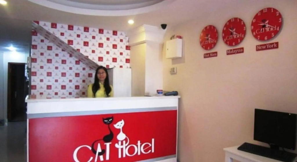 Cat Hotel - Général
