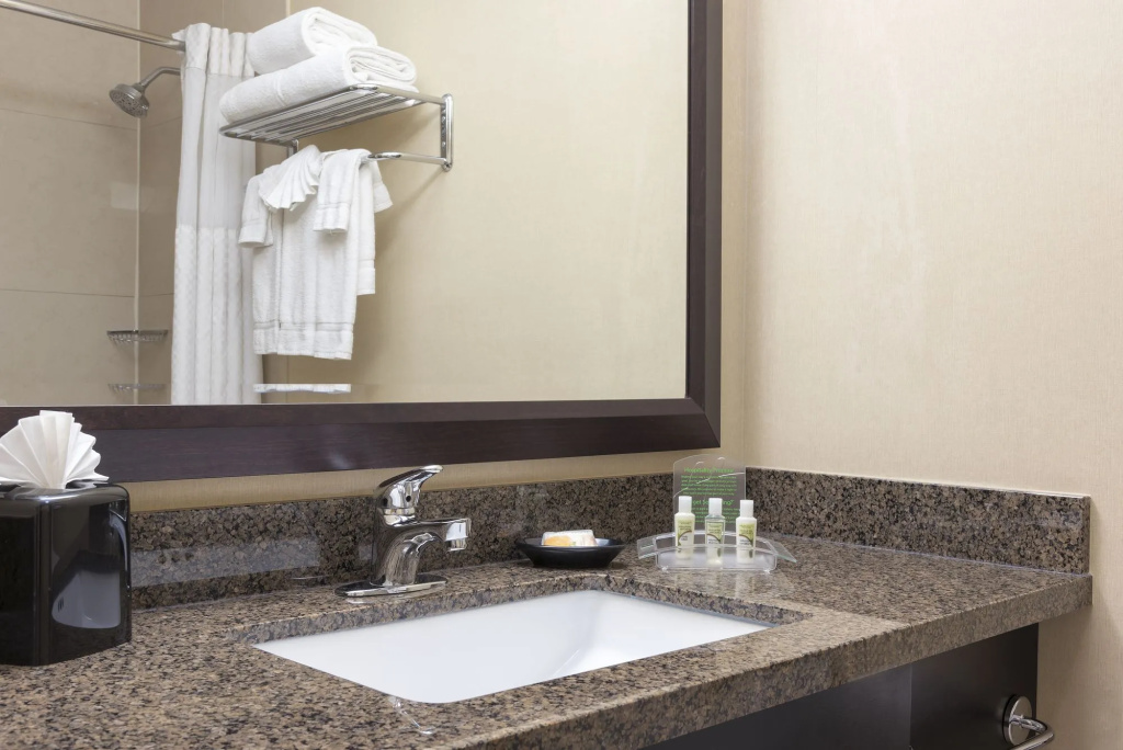 Holiday Inn Chicago - Elk Grove - Général