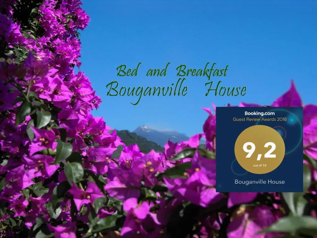 Bouganville House