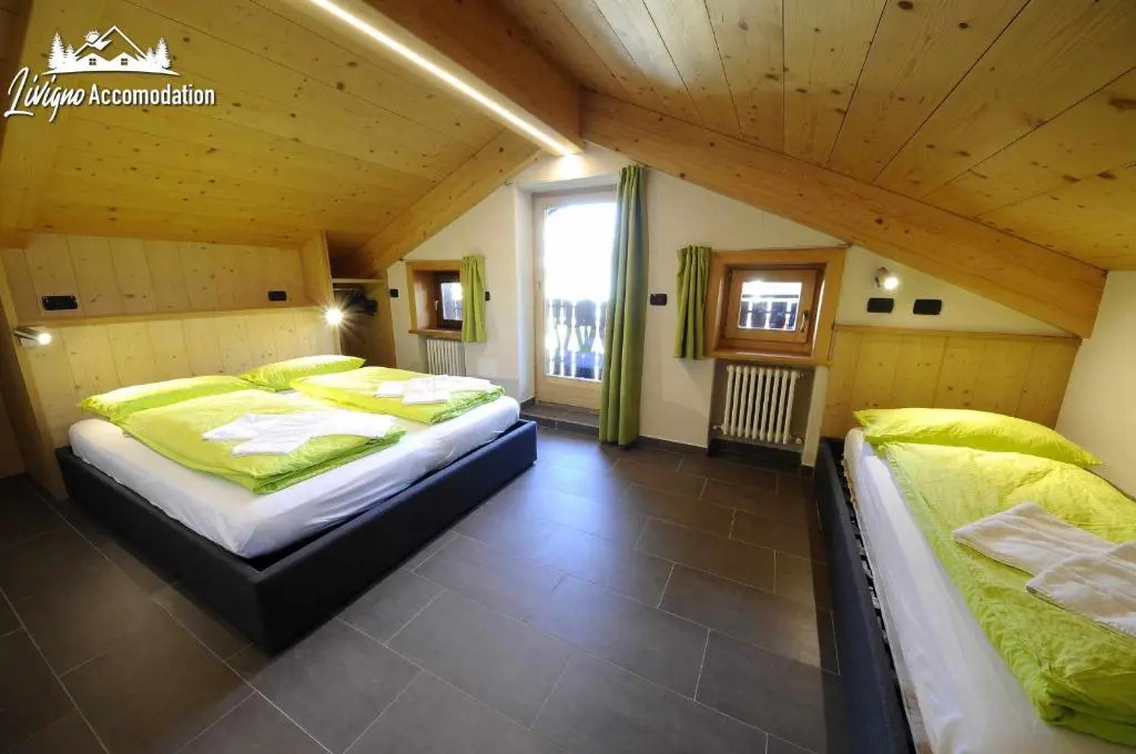 Standard Apartment