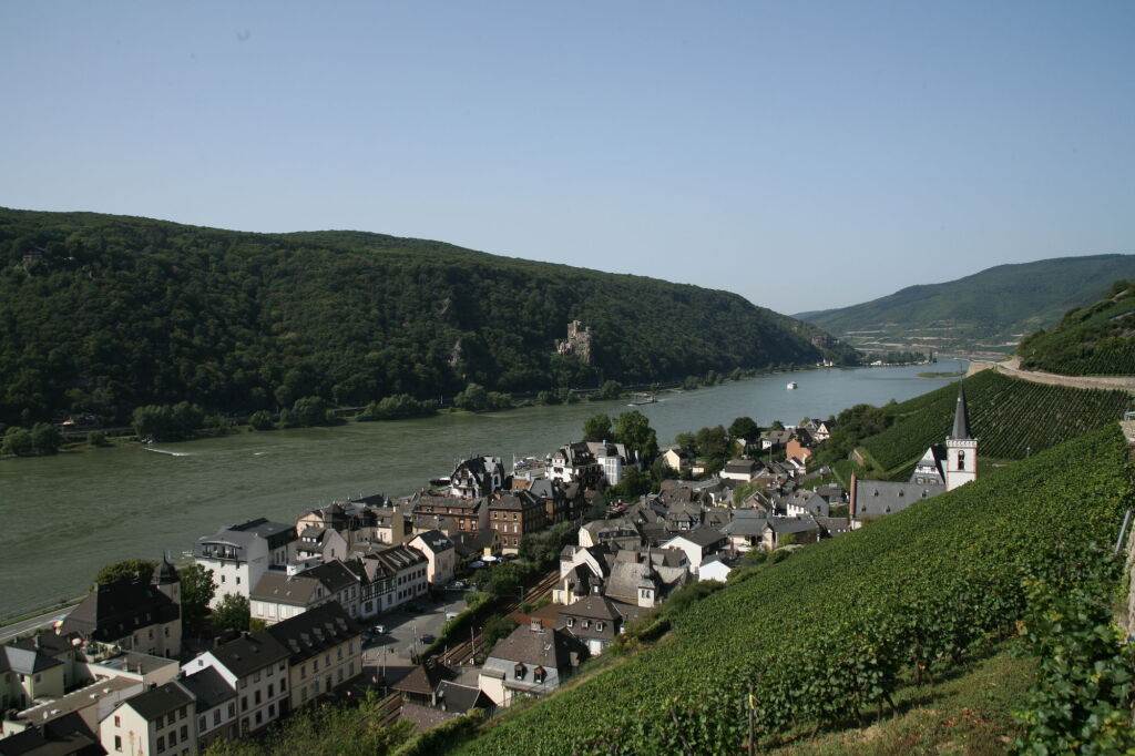 Image 10