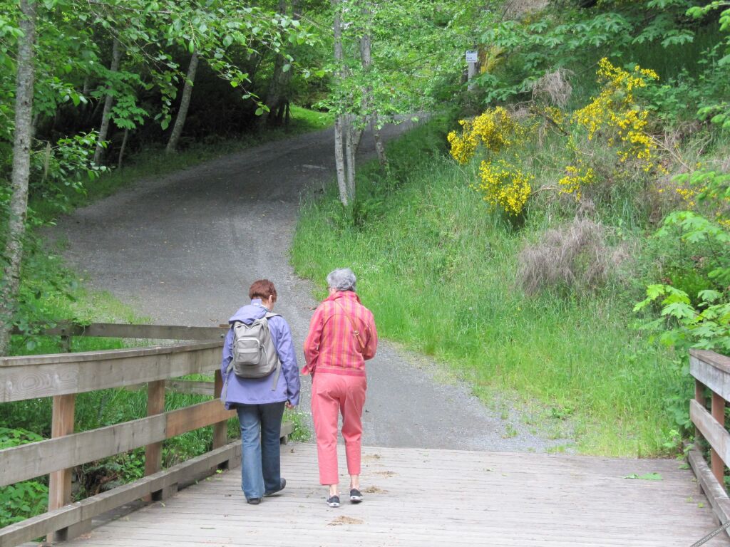 Arbutus Cove Guesthouse