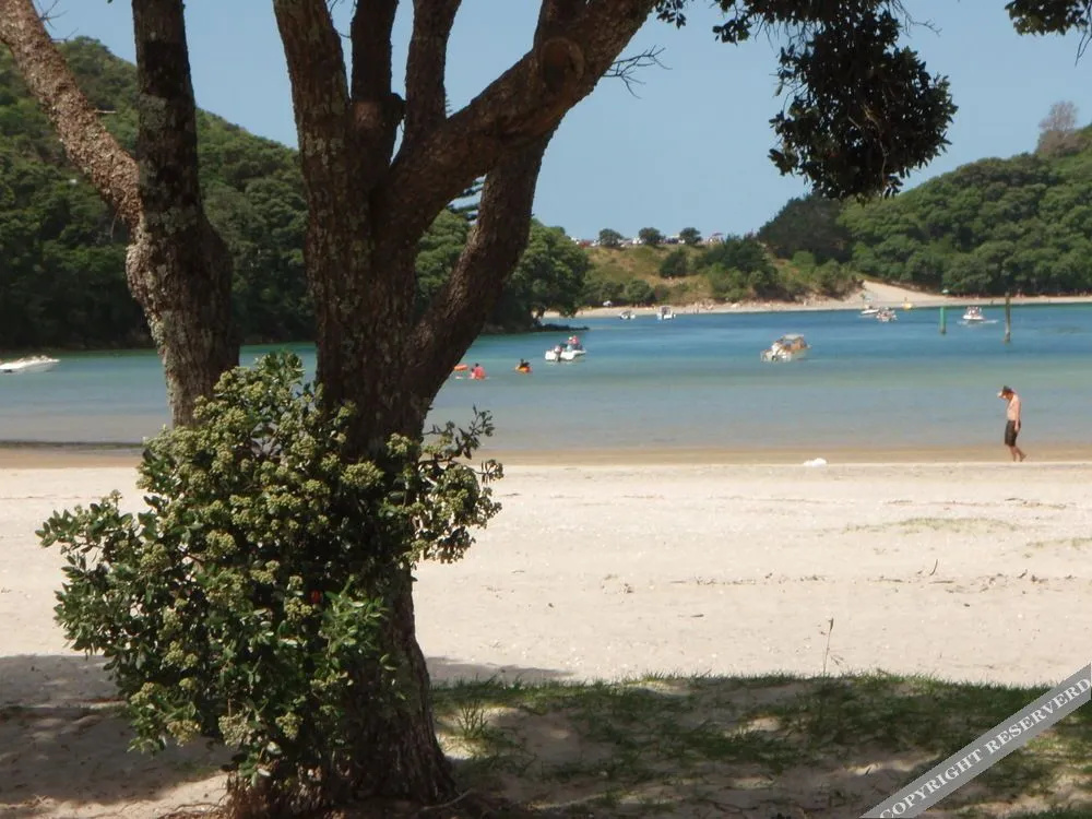Beach & Waterfront
