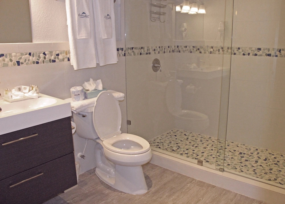 Luxury Suite