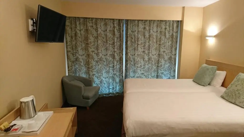 Standard Double room (twin beds)