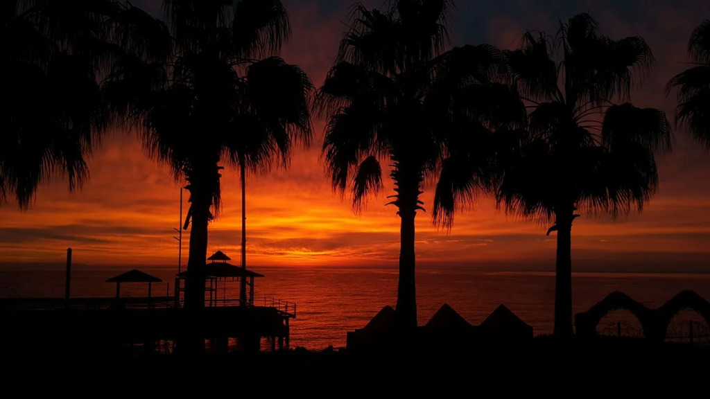 Seagull Hotel — фото 4