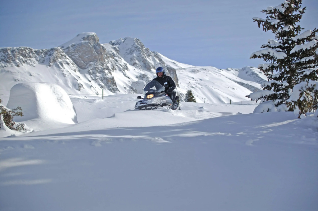 Hotel Alpen Ruitor - Général