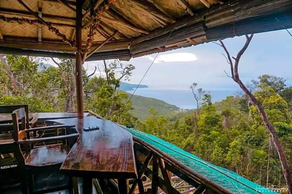 Bamboo house