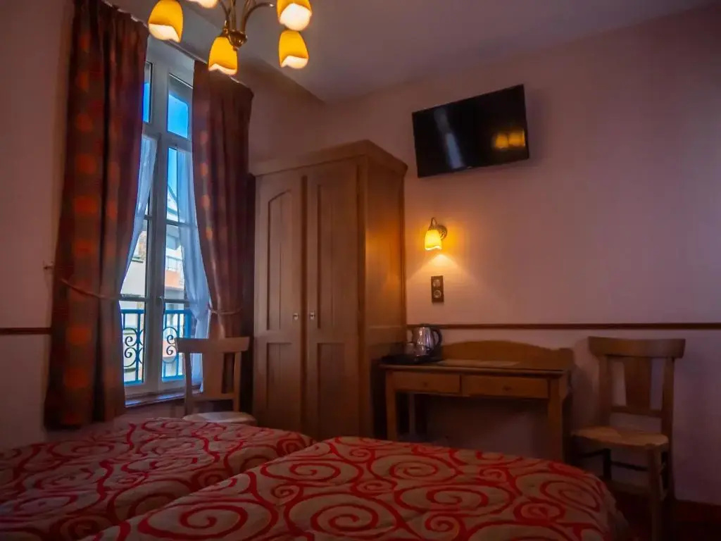 Standard Double room with city view (twin beds)