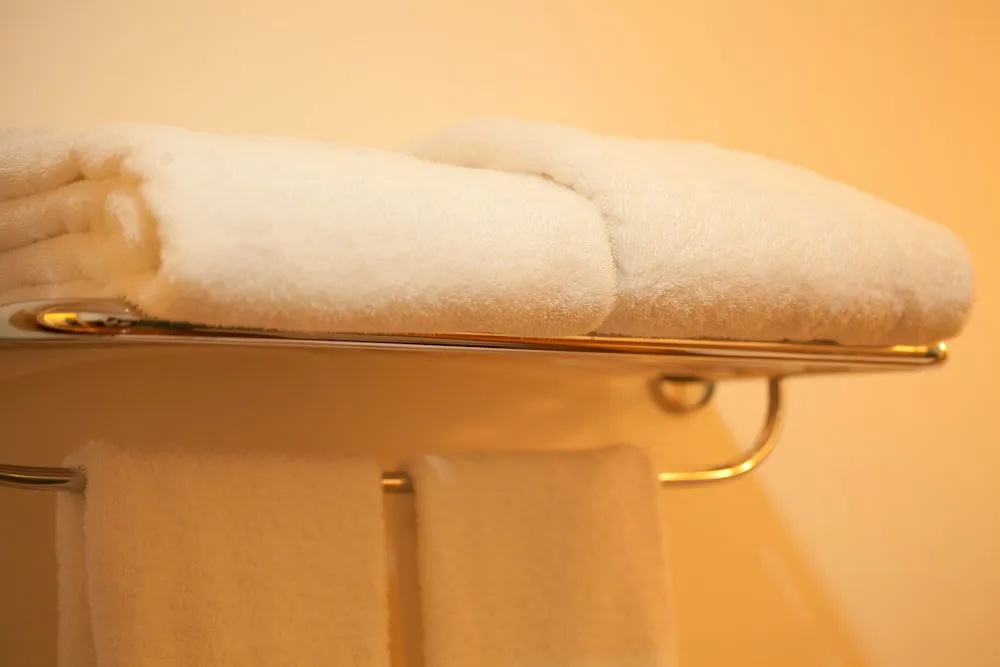 Executive Double room (twin beds)