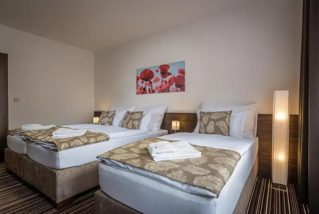 Hotel Satel - Chambres
