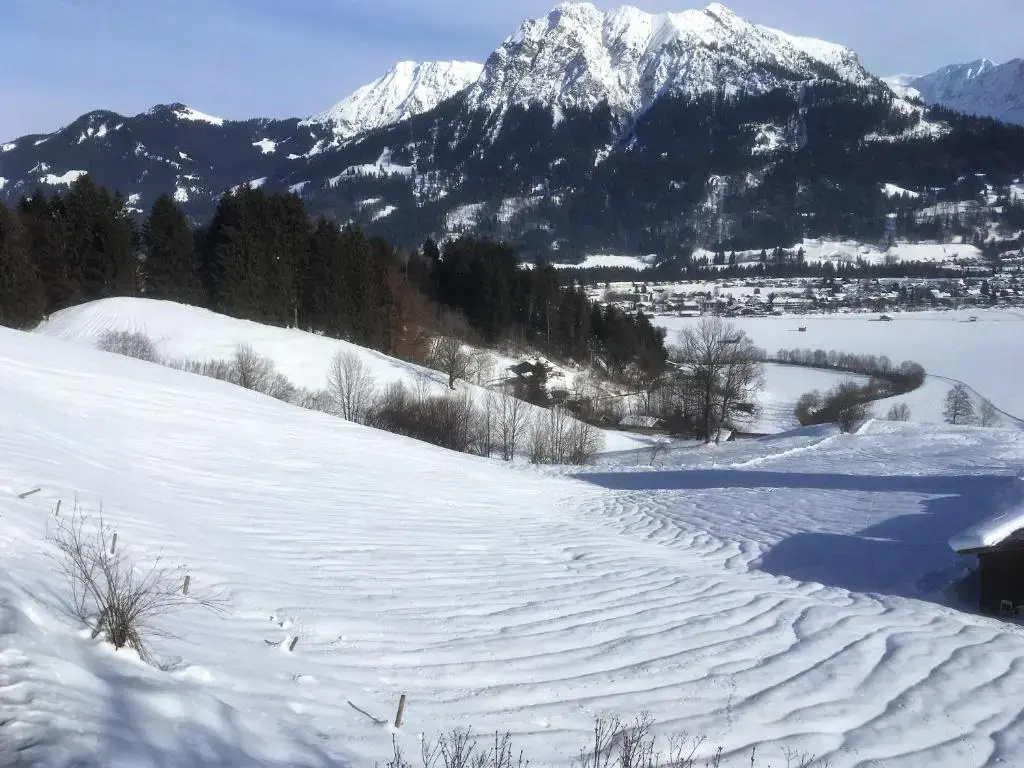Alpenflair Ferienwohnung Whg 108