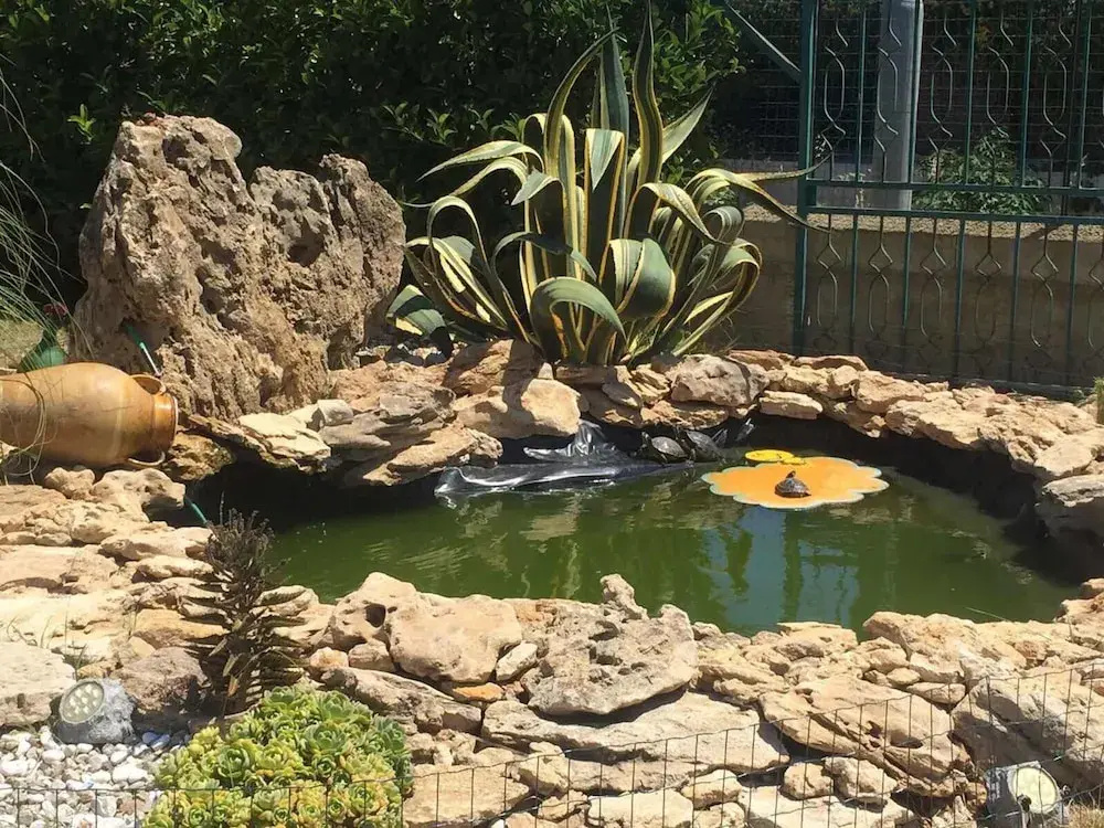 B&B La Medusa
