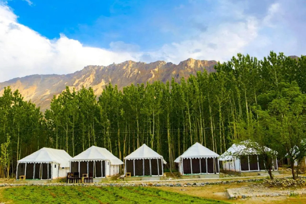 Lumbini Camp- Nubra Valley