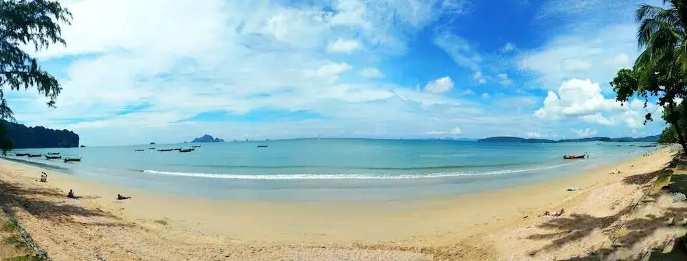 Beach & Waterfront