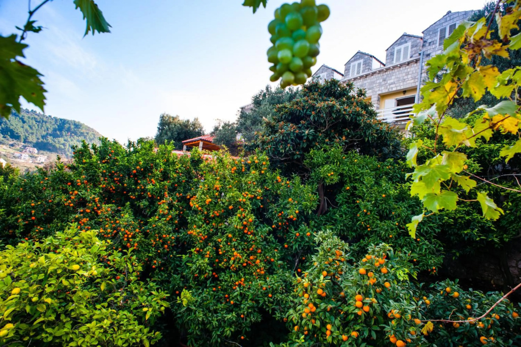 Guest House Tomić