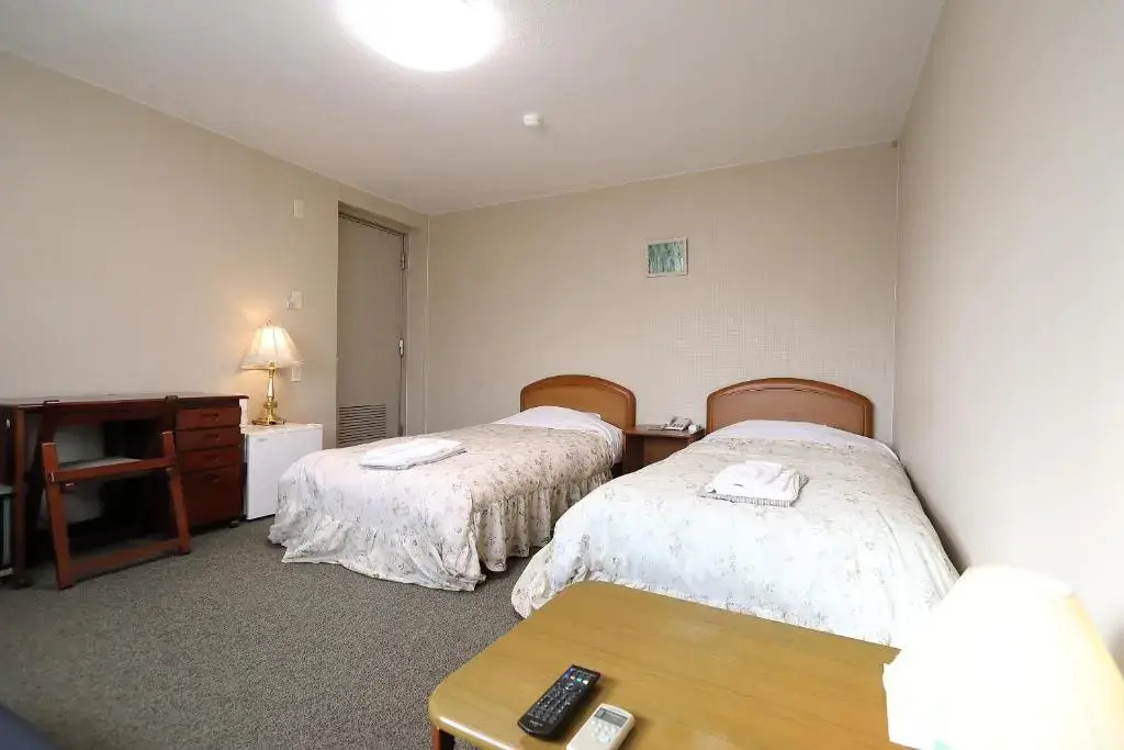 Standard Double room (twin beds)