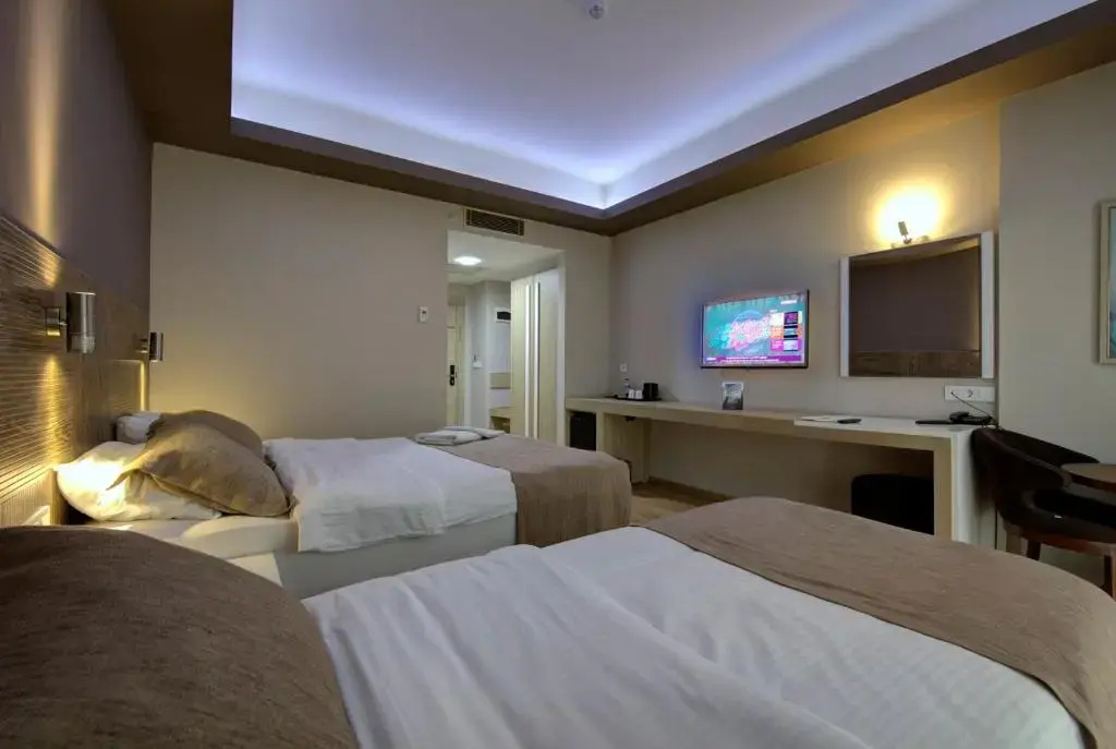Standard Triple Family room