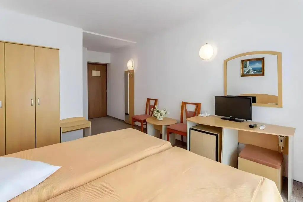 Standard Double room with city view (twin beds)