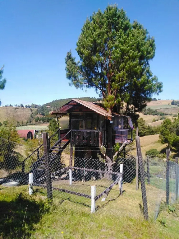 Deluxe Chalet
