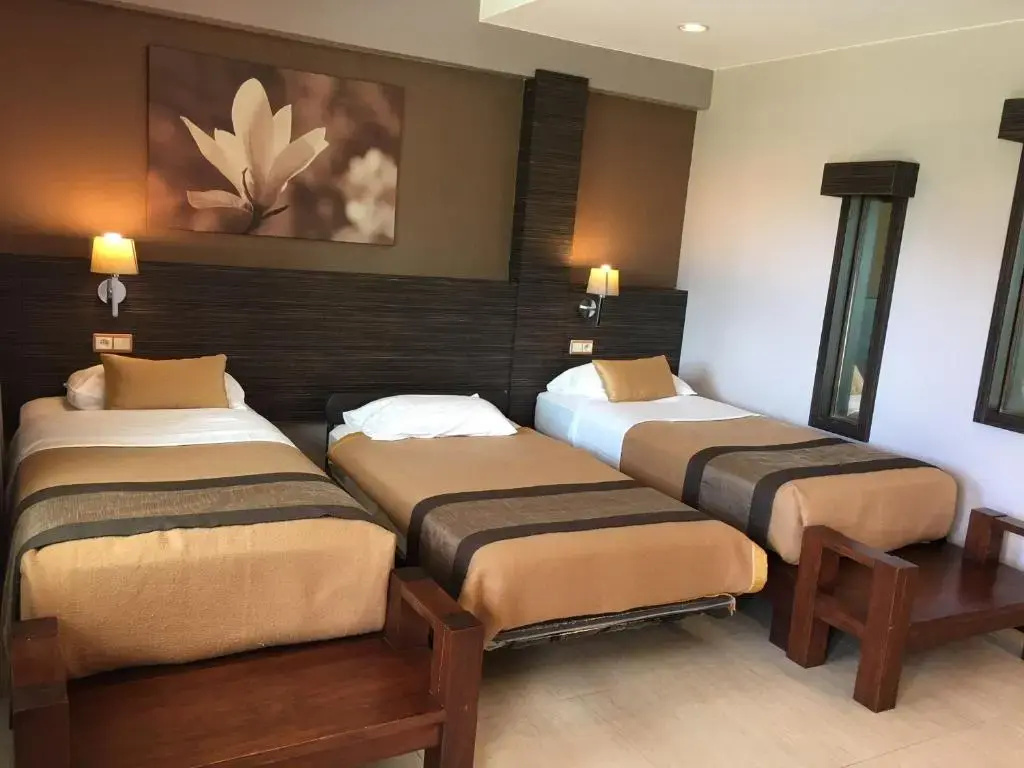 Standard Double room with garden view (full double bed)