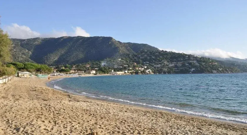 Beach & Waterfront