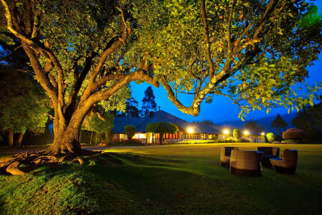 Ferncliff Bungalow - фото 17