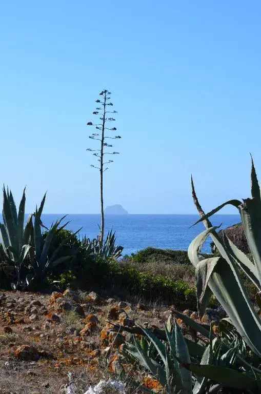 Casa Vacanze Cala Sapone