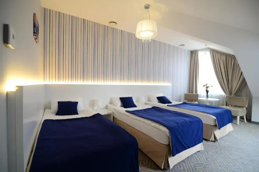 Hotel Aleksandria - Chambres