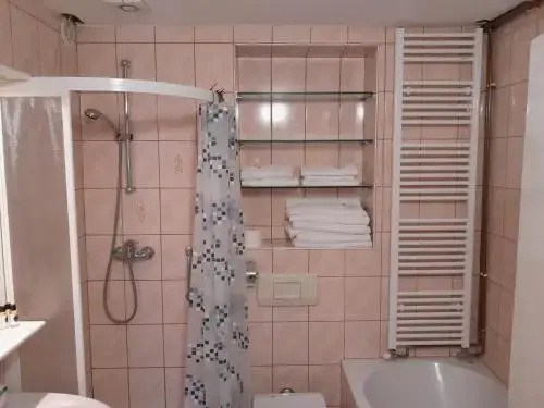 Hotel Pri Belokranjcu - Général