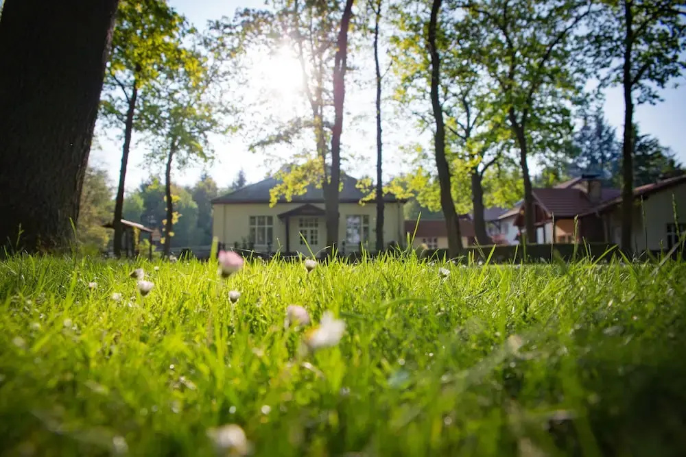 Hotel Waldschlösschen - Général