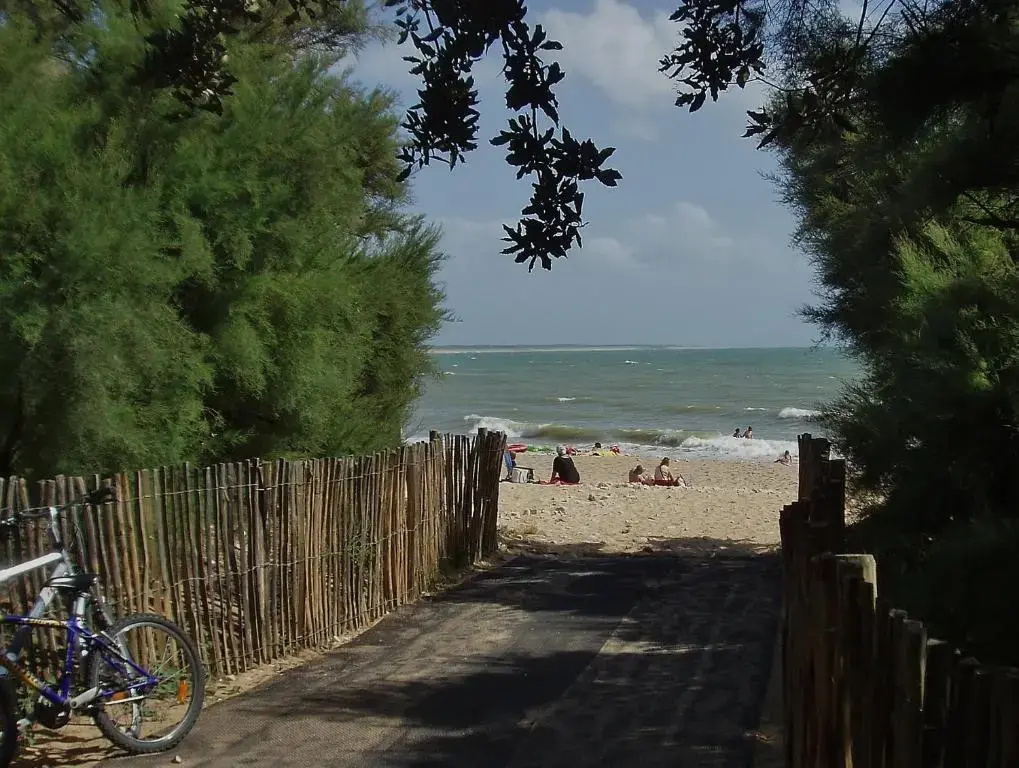 Beach & Waterfront
