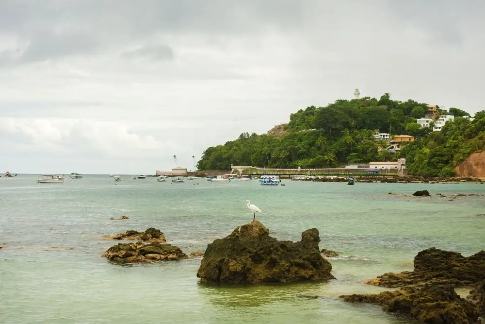 Beach & Waterfront