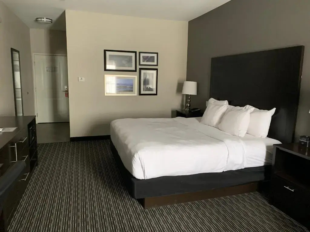 La Quinta Inn & Suites by Wyndham Billings - Chambres