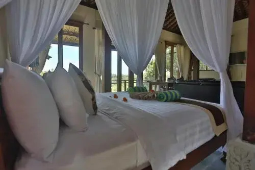 Bali Ubud Villa View
