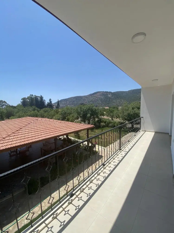 Economy Apartment