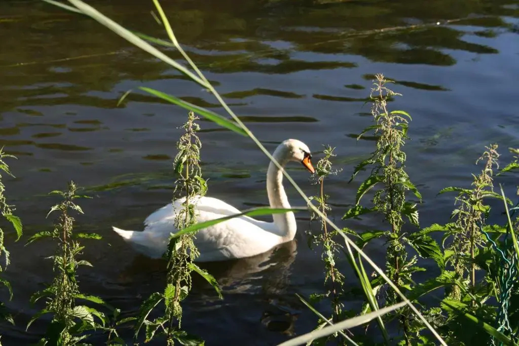 Le Gite Du Breux - фото 7