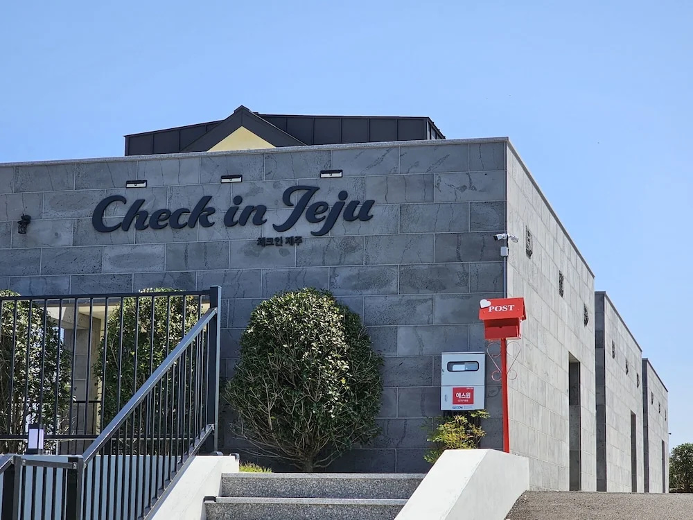 Check In Jeju