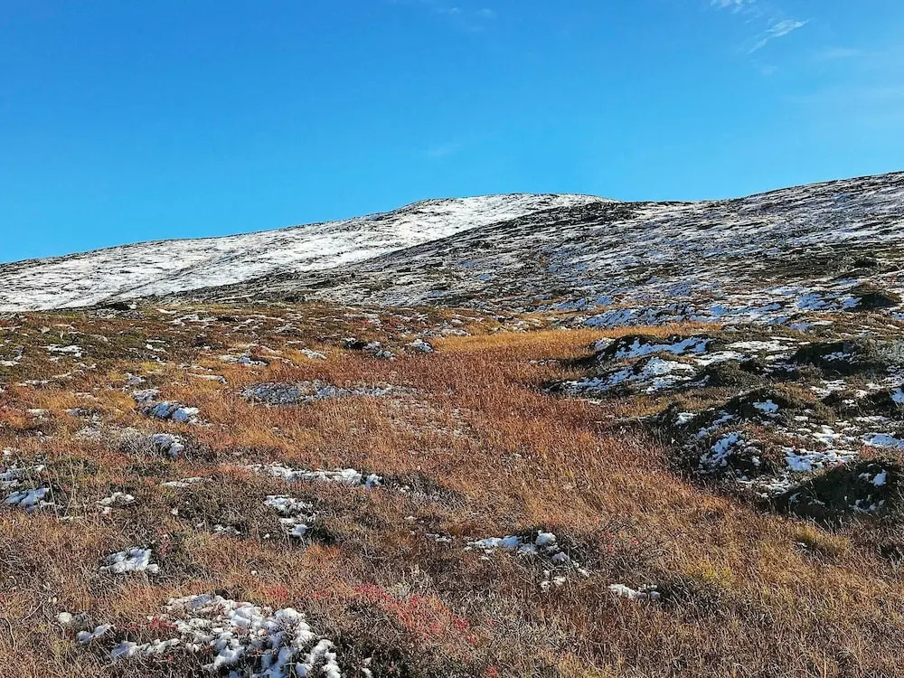 Holiday Home in Alta — фото 3
