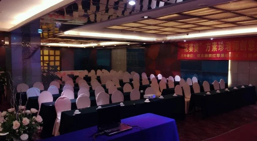Excemon Xinjiang Yilite Hotel - Général